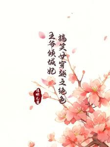 宝扇记讲的什么